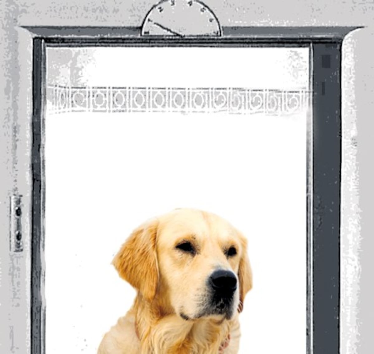 Más preocupado que perro en un ascensor.