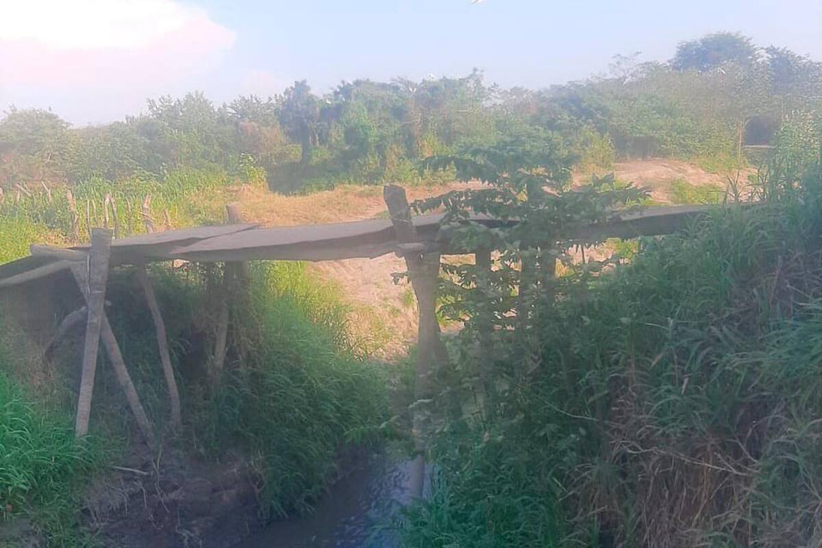 Denuncian deterioro de jarillones en San Cristóbal; campesinos piden ayuda