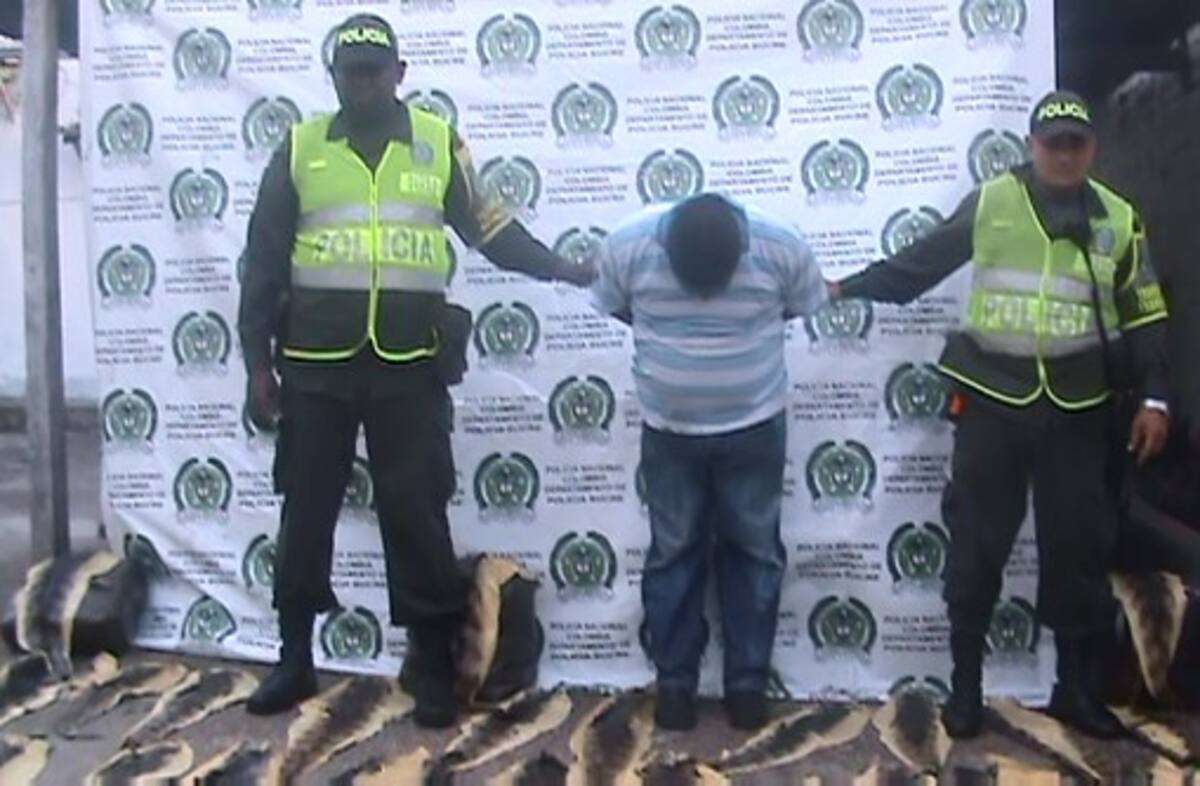 Los uniformados, al mismo tiempo, lograron la captura de la persona que tenía las pieles.