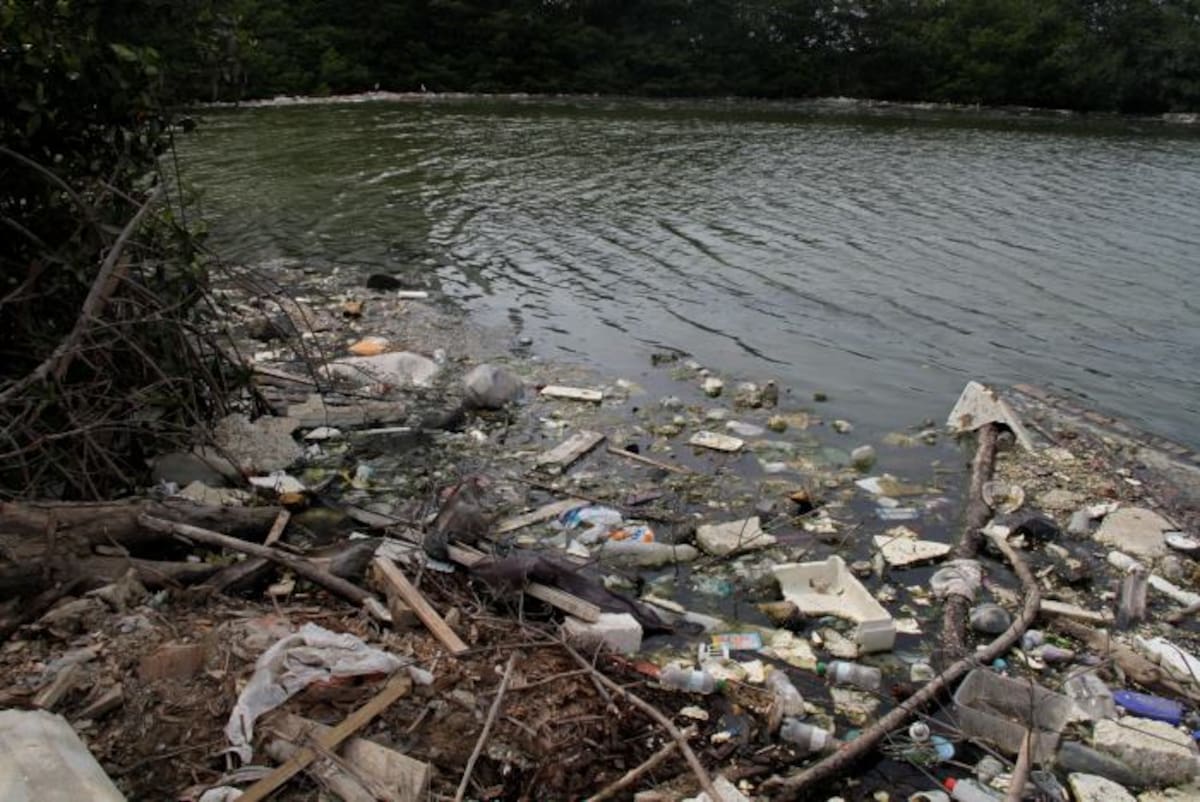 Estas imágenes del caño de Juan Angola fueron tomadas en el segundo trimestre de este año. KAILLINE GIRALDO - EL UNIVERSAL