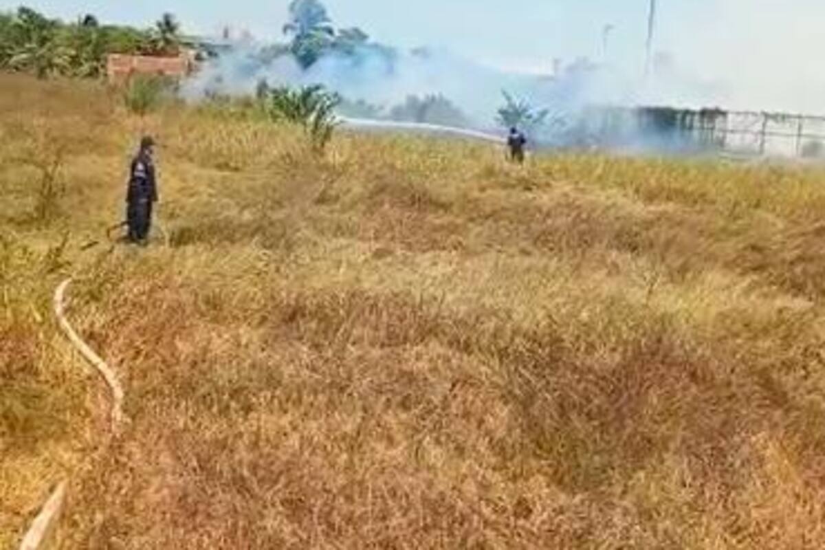Ya son 101 los incendios de cobertura vegetal atendidos en 2022