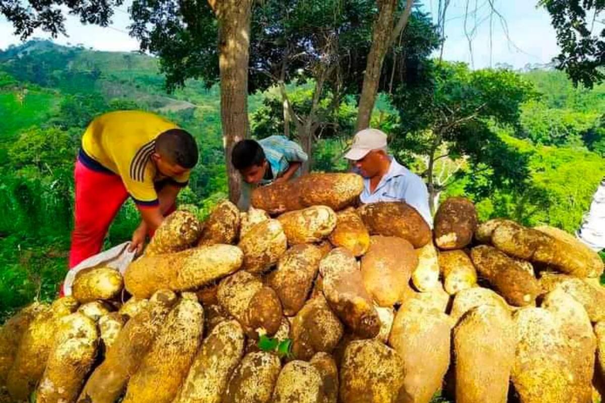 Con manjares, campesinos de San Juan Nepomuceno hacen su primera feria