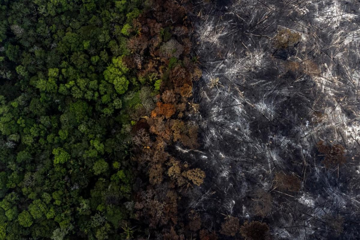Las impresionantes imágenes de los incendios en la Amazonía en Brasil