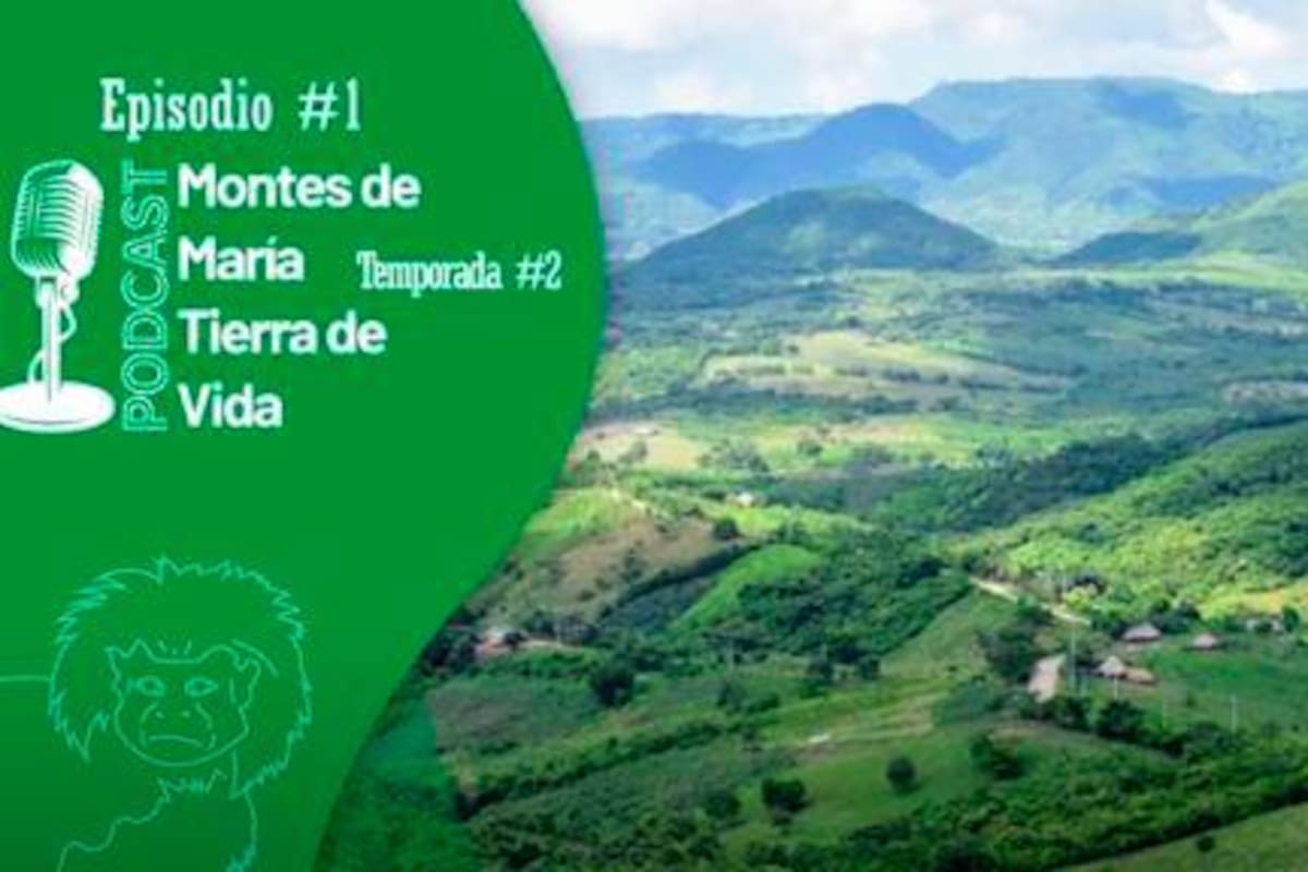 Lanzan segunda temporada del podcast ‘Montes de María Tierra de Vida’