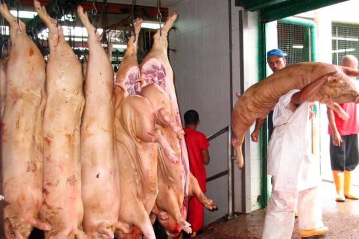 Revivir los mataderos municipales “bajaría” los precios de la carne: Petro