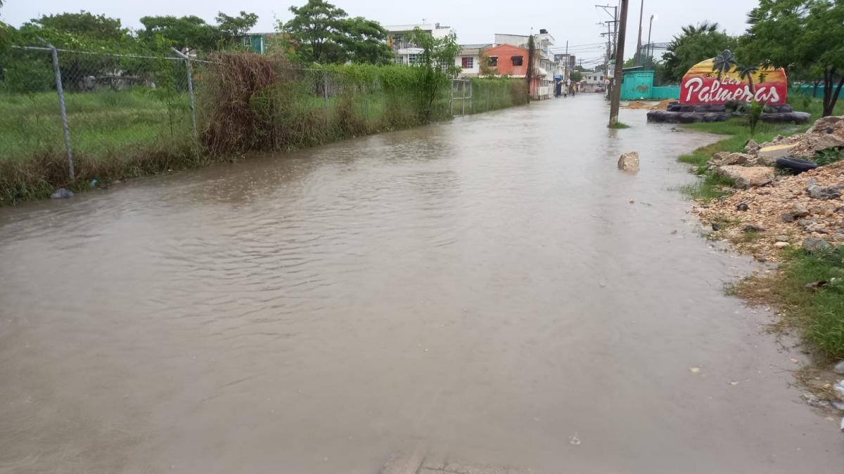 Panorama en Las Palmeras. // Oscar Díaz
