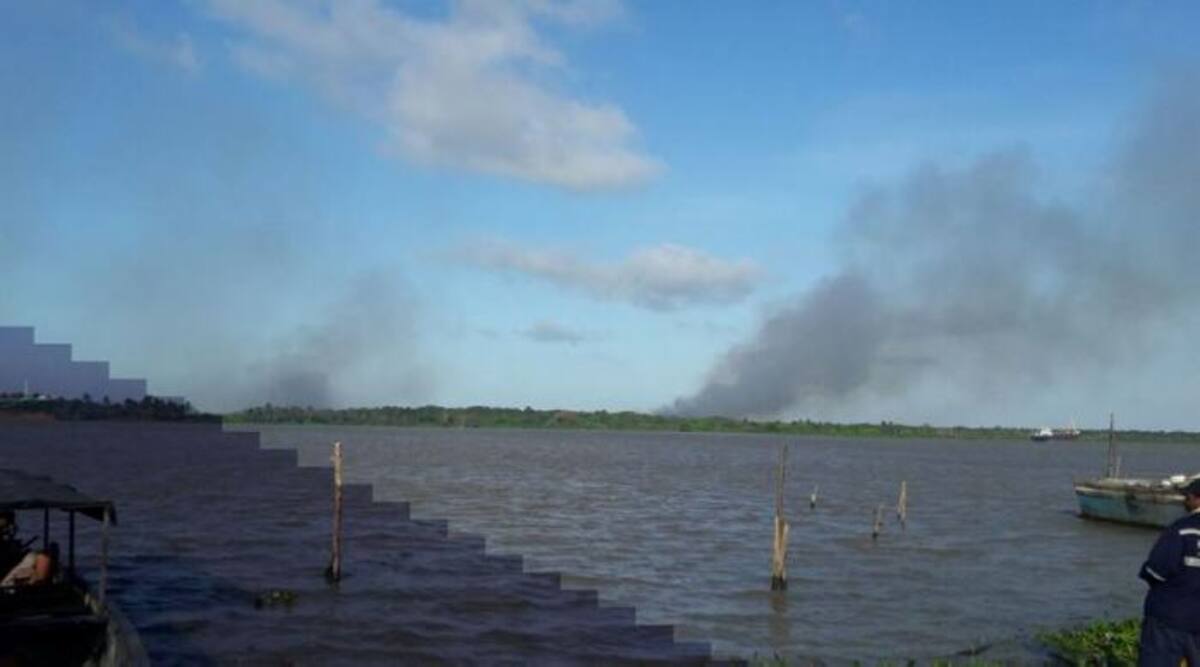 Se estableció que se afectaron 15 hectáreas de enea, una especie invasora similar al pasto, y que no hubo ningún dañó en la cobertura de manglar. Twitter.