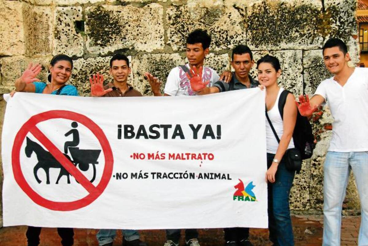 "La crueldad hacia los animales está relacionada con la violencia hacia seres humanos", Miguel Ángel Sabogal García, psiquiatra.