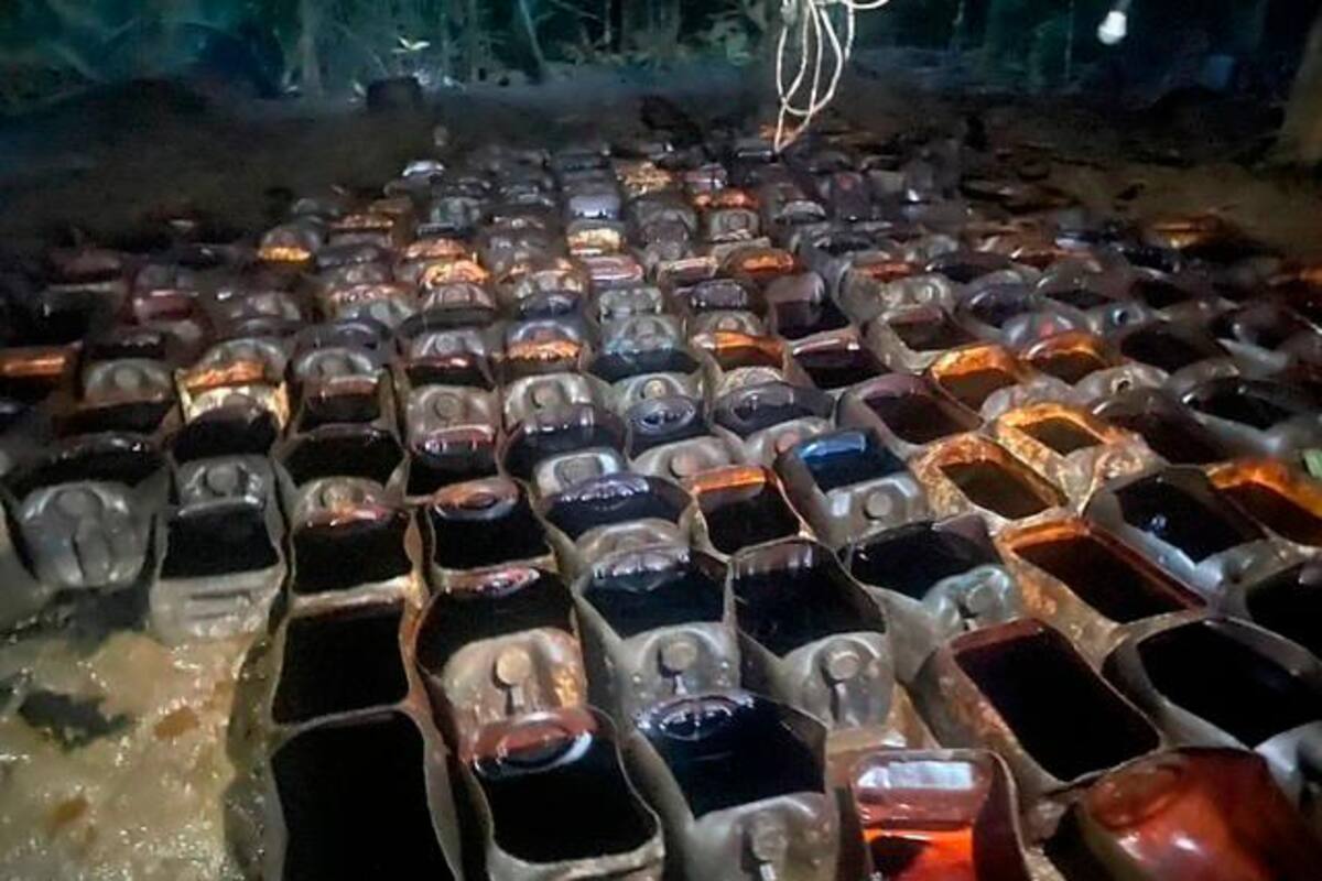 Destruyen 20 laboratorios para la producción de cocaína en el sur del país