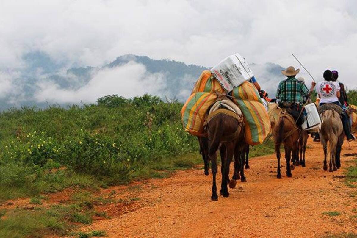 Los conflictos armados desplazaron a más de 145.000 civiles en Colombia en 2023