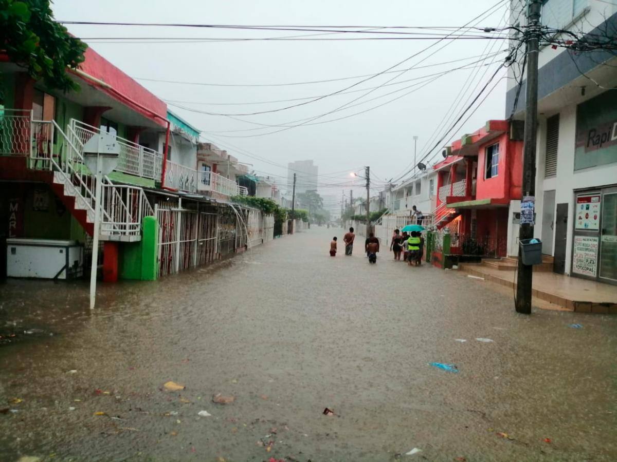 Así se encuentra el barrio Las Palmeras. // Oscar Díaz.