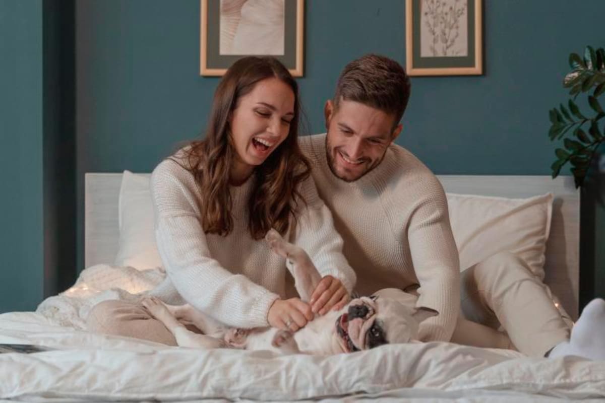 Cada vez más mascotas son tratadas como ‘hijos’: ¿qué es el “pet parenting”?