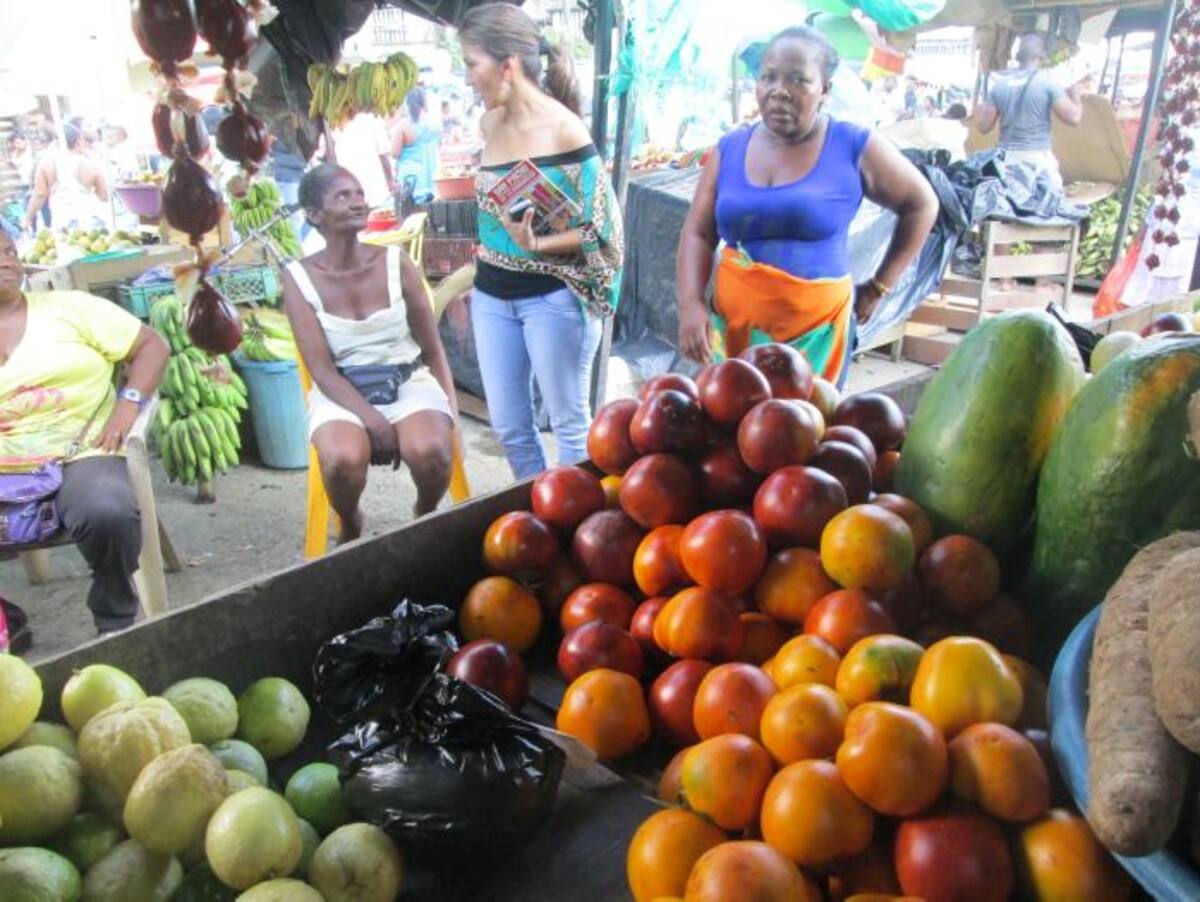 Los frutos que dan brillo a la naturaleza del Chocó.
