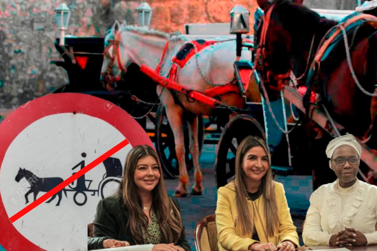 El proyecto de ley que acabaría con los coches turísticos en Cartagena
