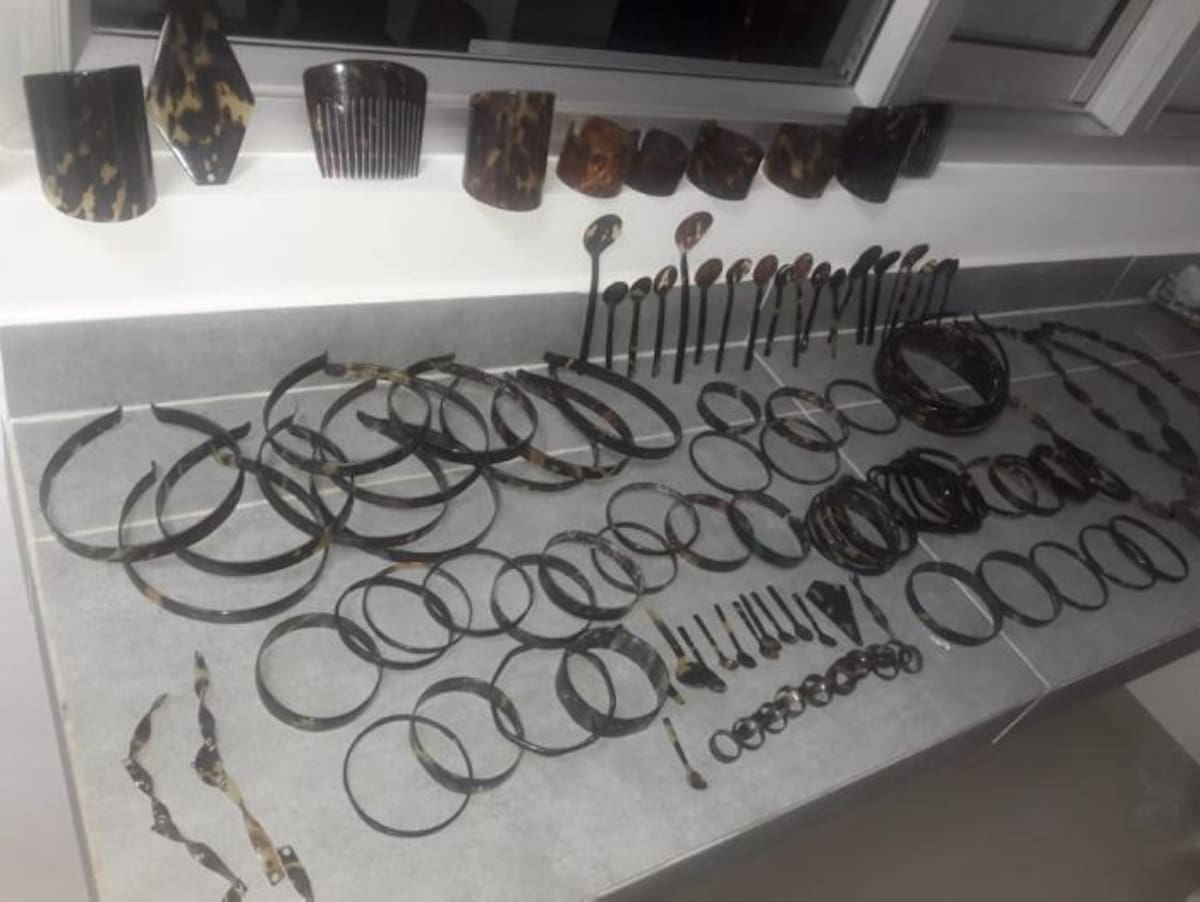 Accesorios de tortuga carey Cortesía.