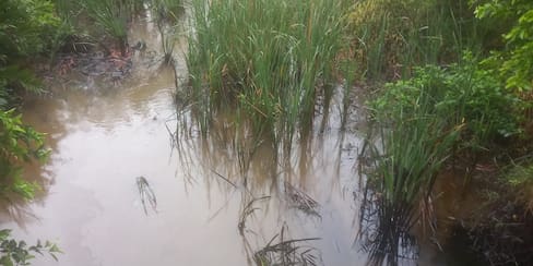 Preocupación en el barrio Policarpa por grave contaminación en el canal
