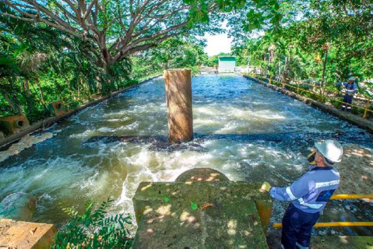 ¿Qué tan limpia es el agua que toman los cartageneros? Te contamos