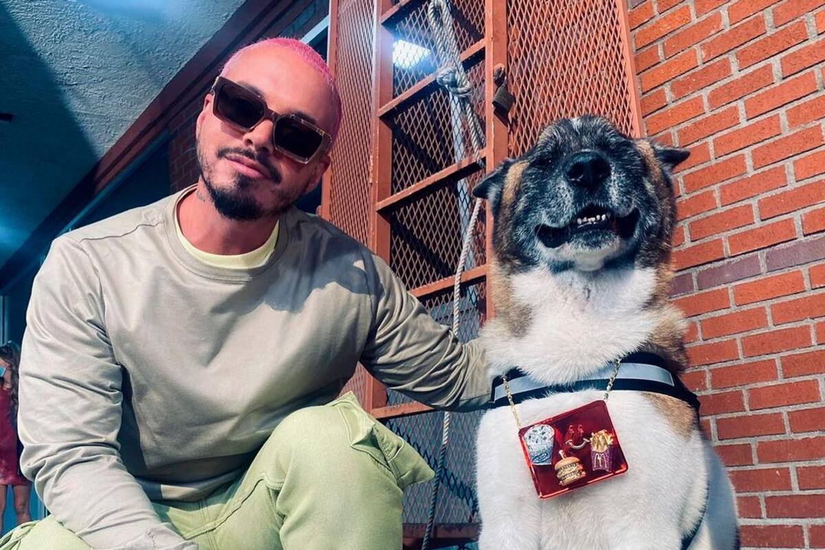 Triste: murió Enzo, la mascota que acompañó a J Balvin por muchos años