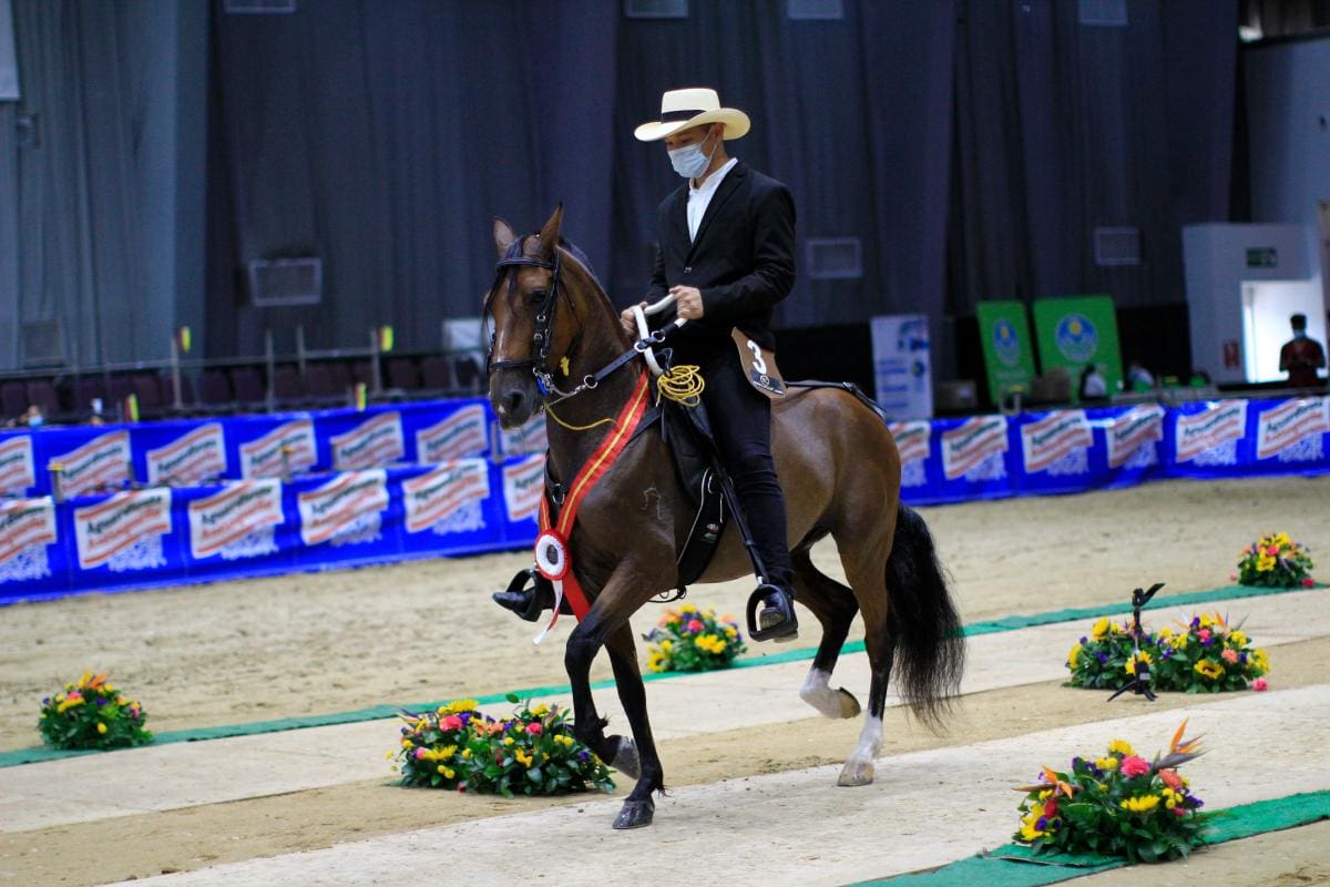 ‘Estafeta de San Isidro’, de Turbana (Bolívar), segundo lugar categoría caballos castrados de trote y galope.