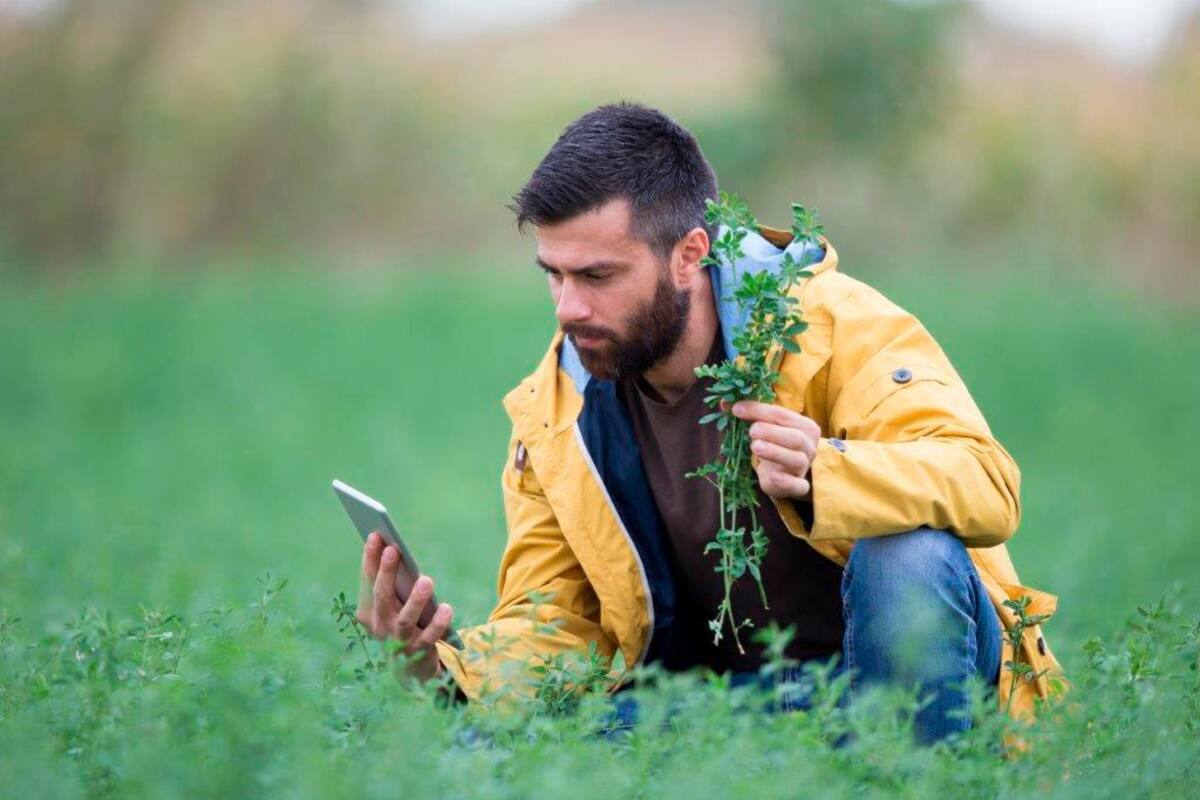El sector agropecuario después de pandemia y un paro nacional