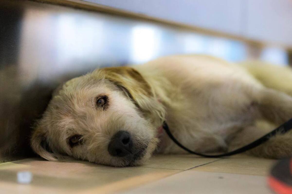 FACEBOOK TEAM PEAK PERFORMANCE