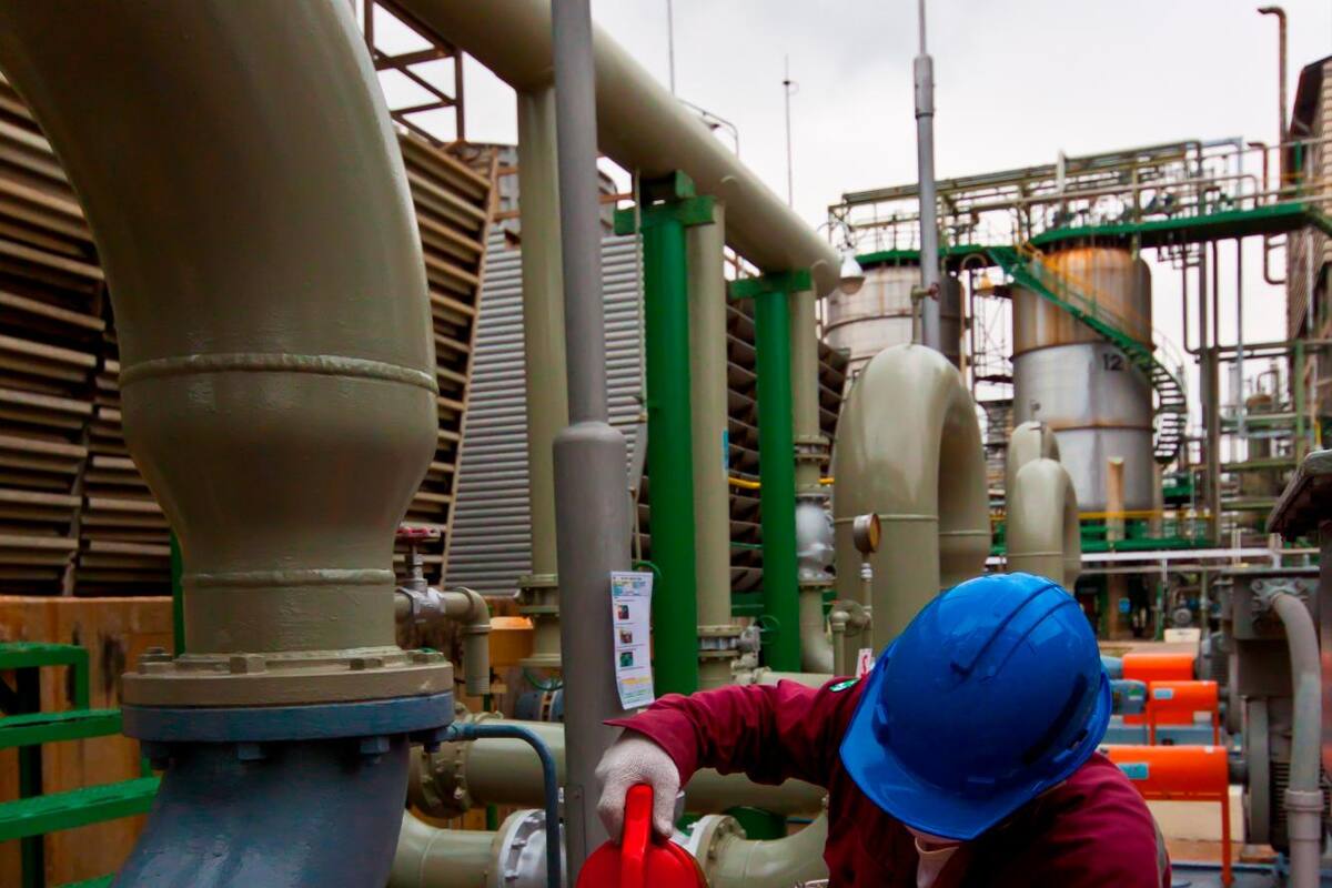 Colombia Productiva llegará a más empresas en el 2021