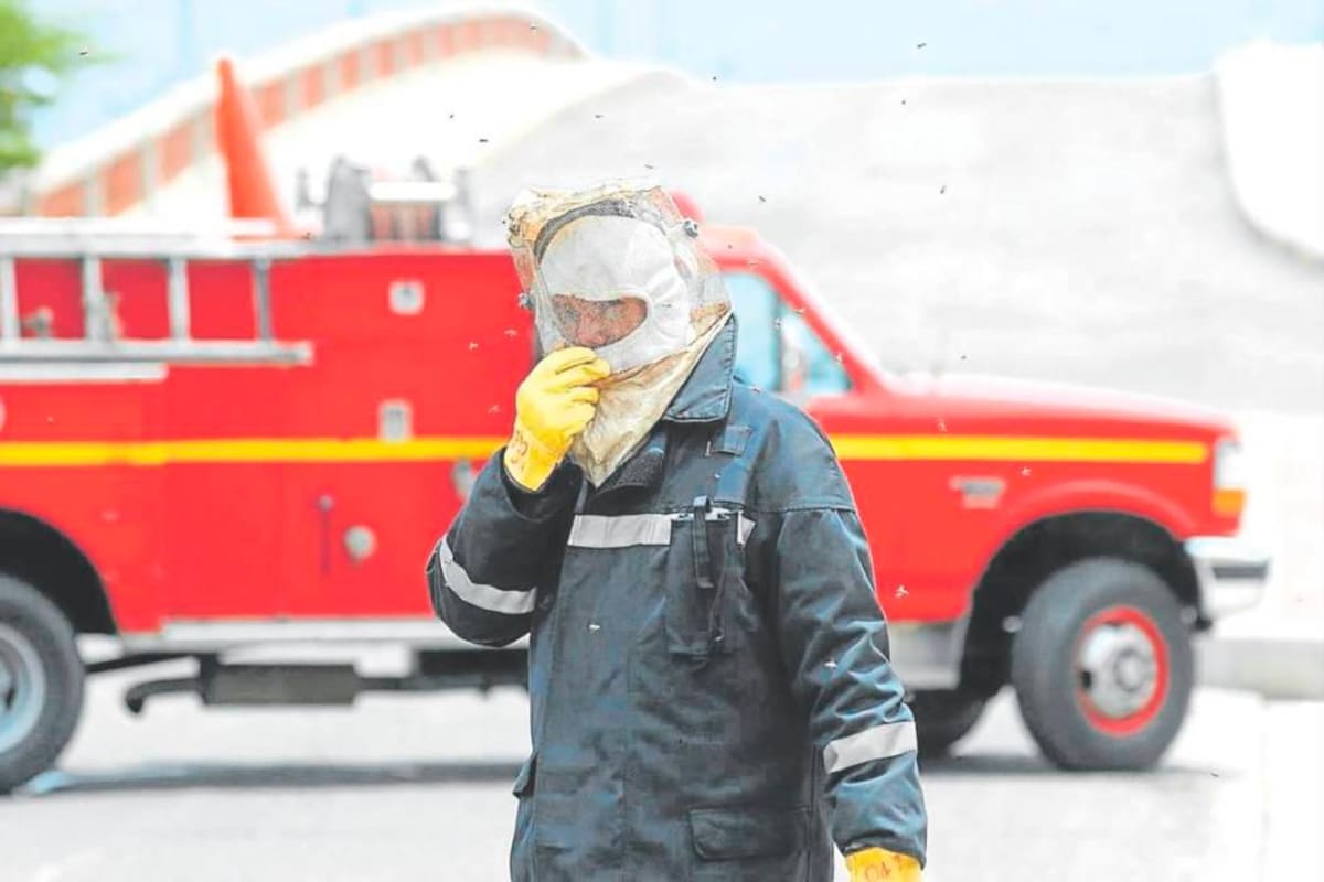 Las emergencias más atendidas por Bomberos durante el 2022