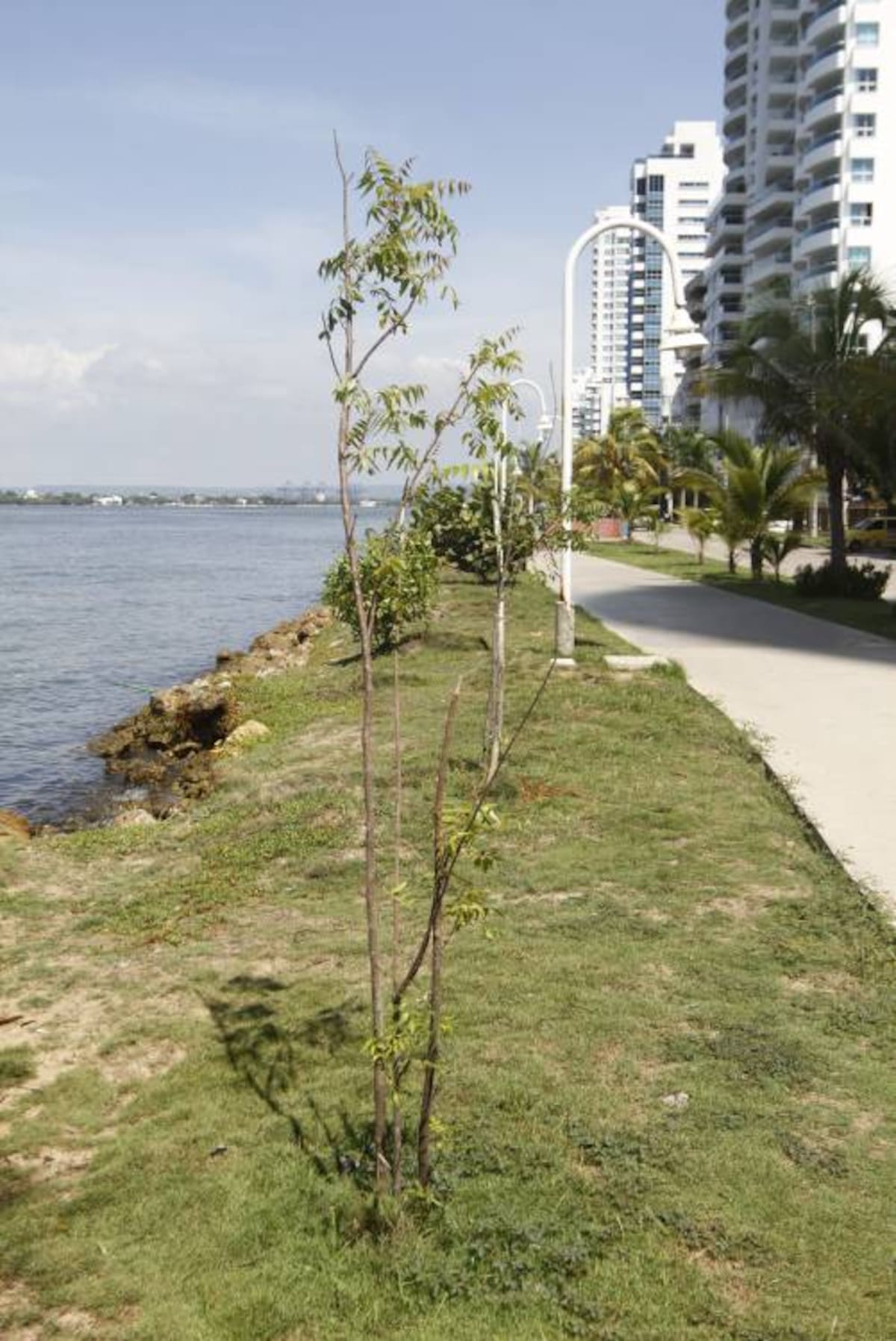 JULIO CASTAÑO-EL UNIVERSAL