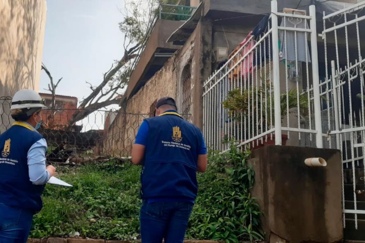 Con árboles caídos e inundaciones: así amanece Cartagena tras lluvias