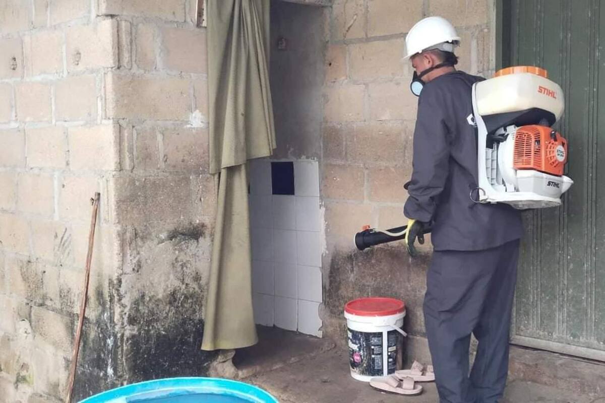 Dengue en Sucre: declaran alerta epidemiológica