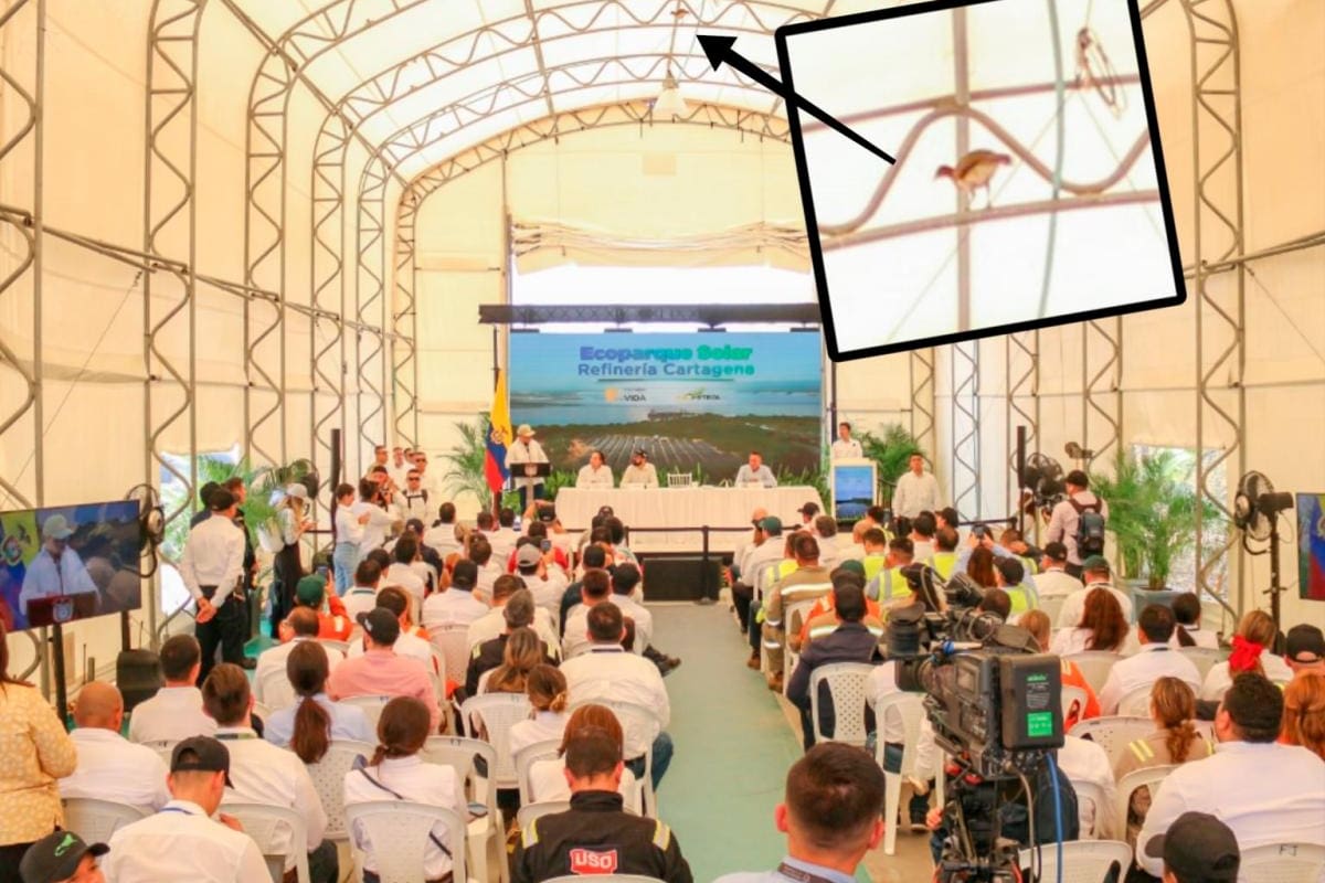 Una guacharaca lanzó ‘proyectiles’ a la silla de Petro en la Refinería