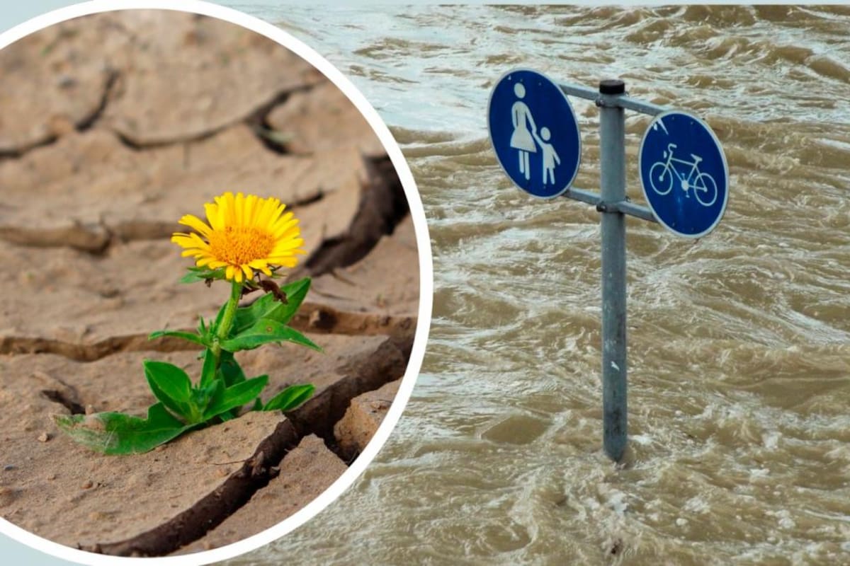 ‘Fenómeno de El Niño’: ¿cómo afectaría a América y la economía mundial?