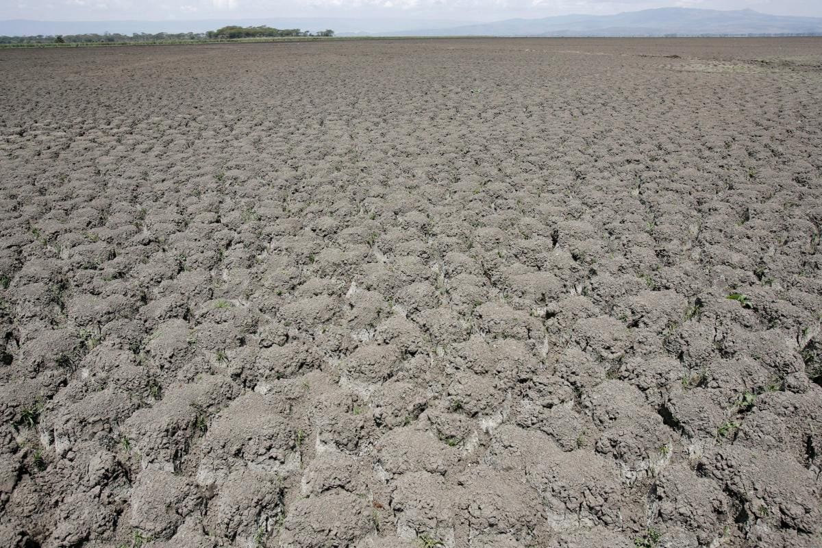 17 de los 20 países más “amenazados” por la crisis climática están en África