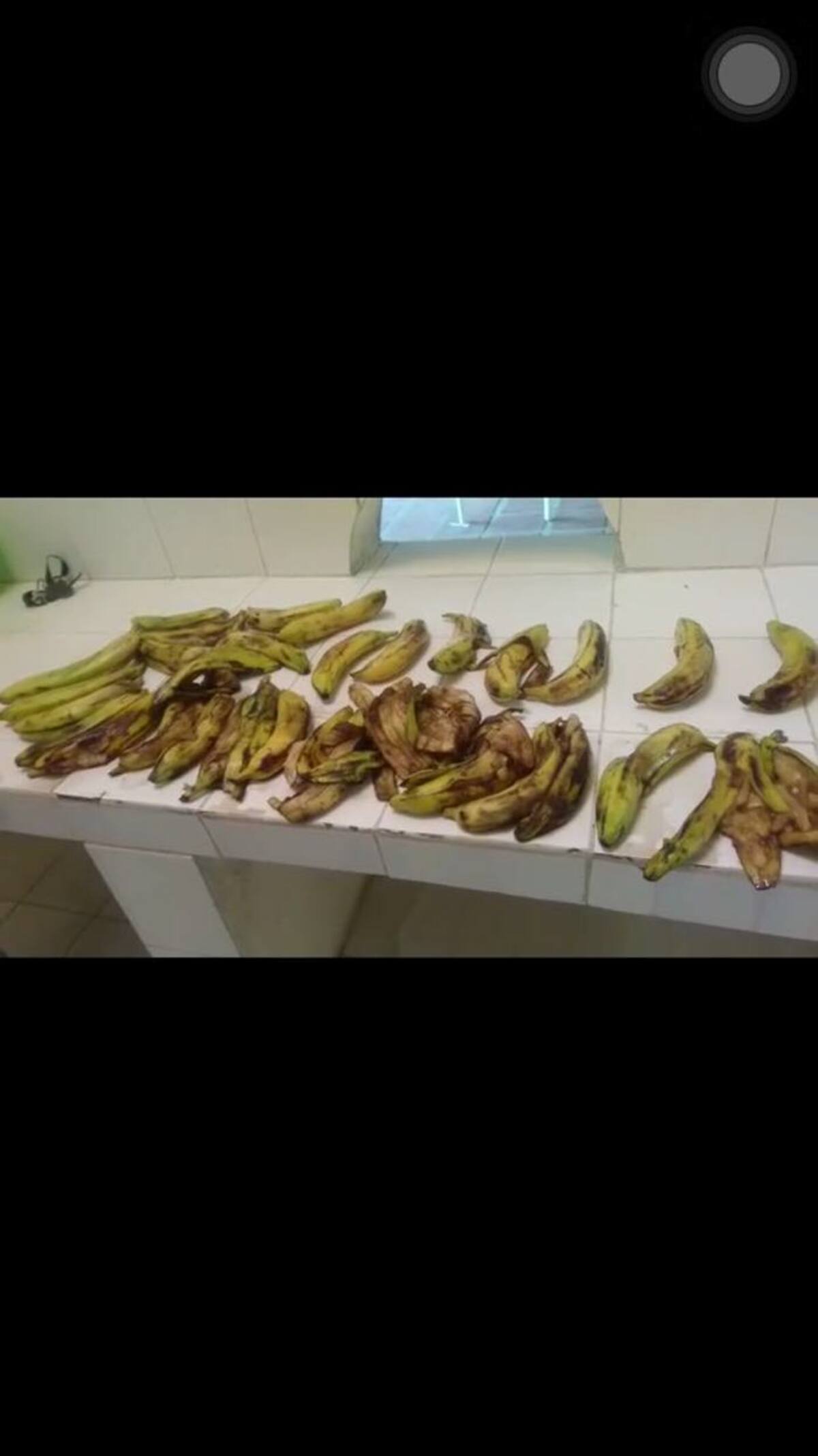 los bananos entregados a los niños estaban dañados y no aptos para el consumo de los niños. Denuncian que las manipuladoras tampoco tiene dotación de uniformes. Luis Fernando Ocampo/ Prensa Gobernación de Bolívar