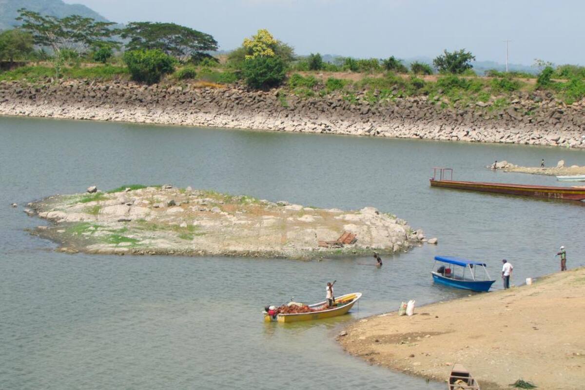 Toma de embalse de Playón pone en riesgo cultivos de arroz en Marialabaja