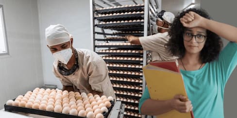 ¿Ya no se puede pedir el día de la familia? Curiosidades sobre jornada laboral