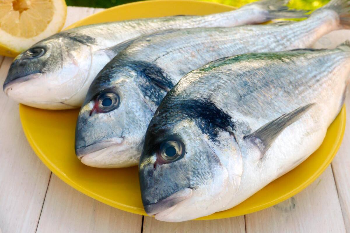 El selenio del pescado beneficia la salud y neutraliza el mercurio
