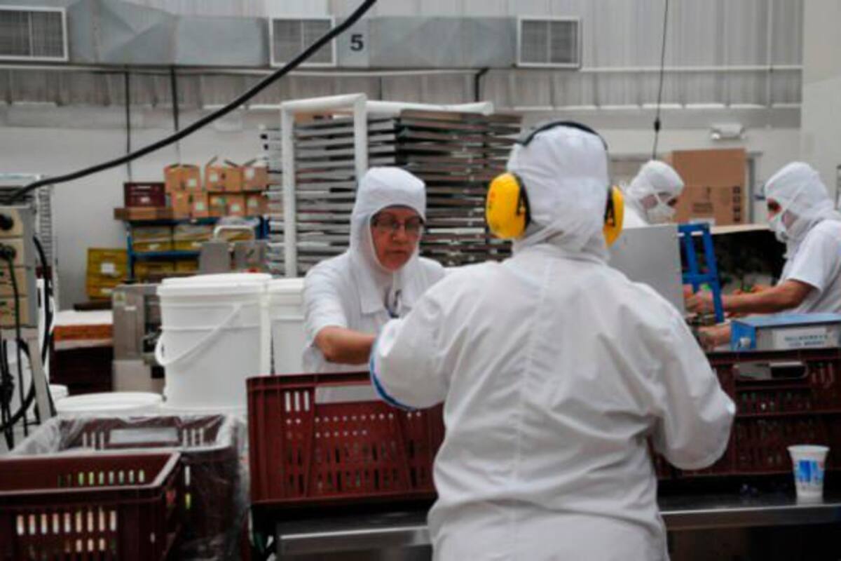 Urgen al Gobierno asumir pago de nóminas de Mypimes por crisis