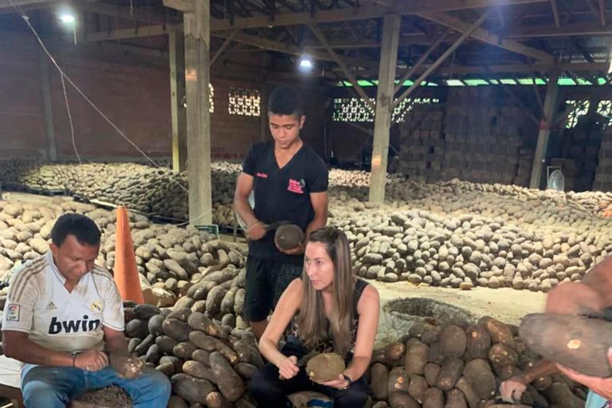 Nuevos proyectos de la ADR para Bolívar