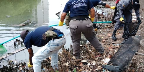 Cartagena busca voluntarios para la Guardia Ambiental: fecha, lugar y requisitos