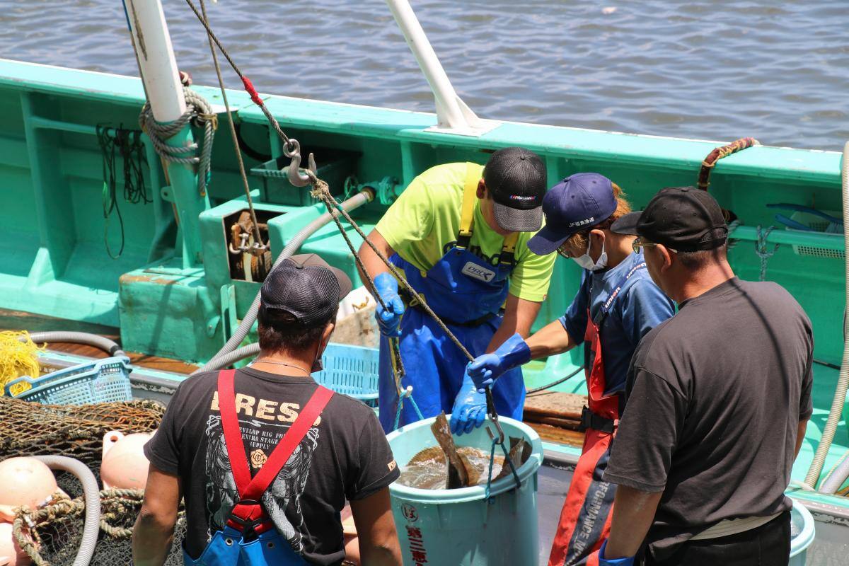 Fukushima: agua contaminada de radiación y depurada se verterá al mar