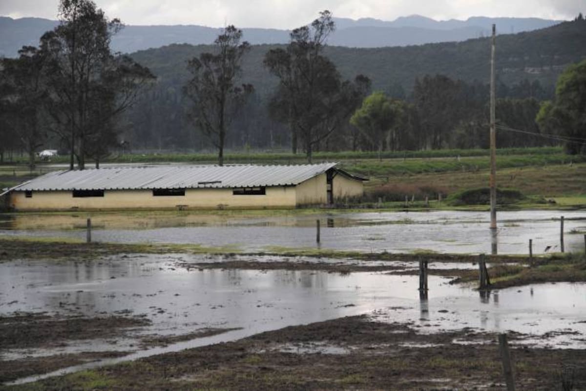 Casas afectadas por el invierno. COLPRENSA