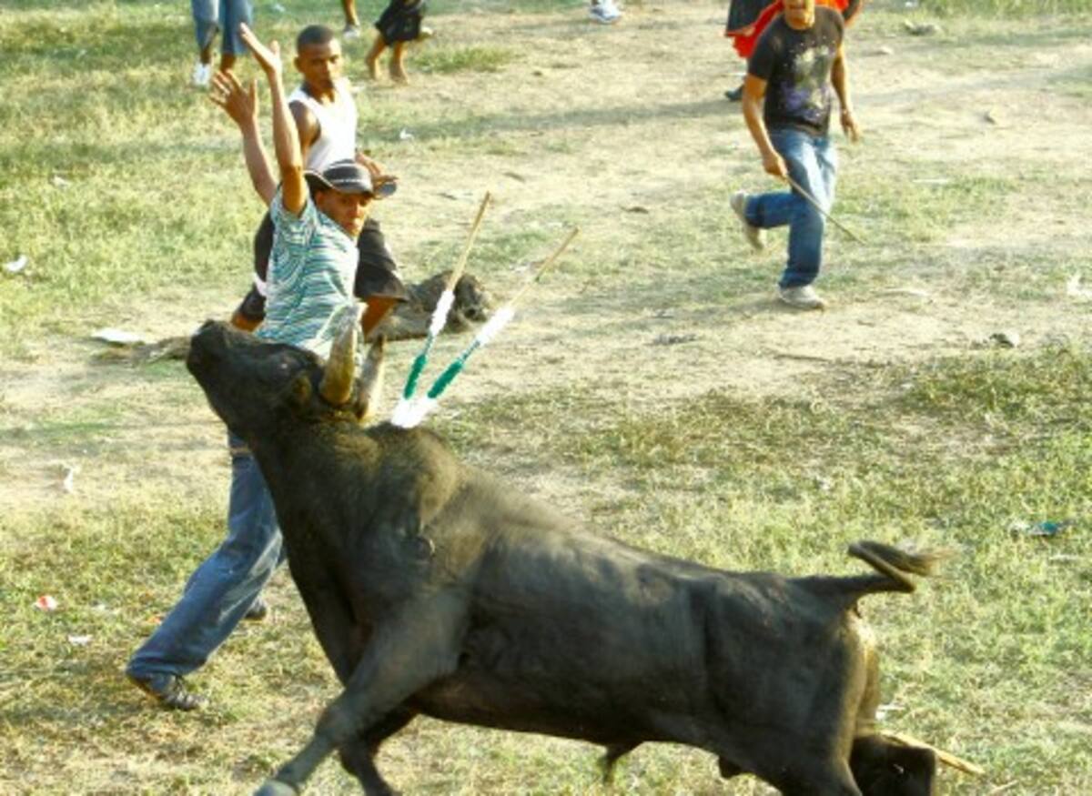 Juan Carlos Solano, nació en Montería (Córdoba), es un banderillero que está empezando en el oficio.