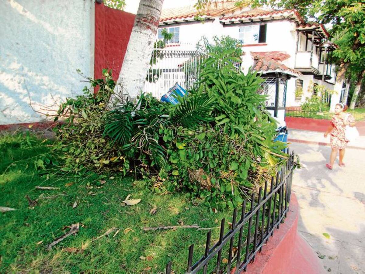 Podas y otros residuos sólidos que no caben en los tanques, son depositados al lado de las canecas de desechos, en zona verde.