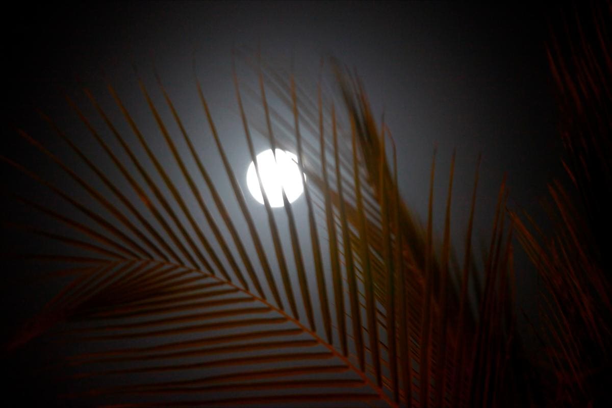 El Ficci bajo la luna llena regresa esta noche con más películas