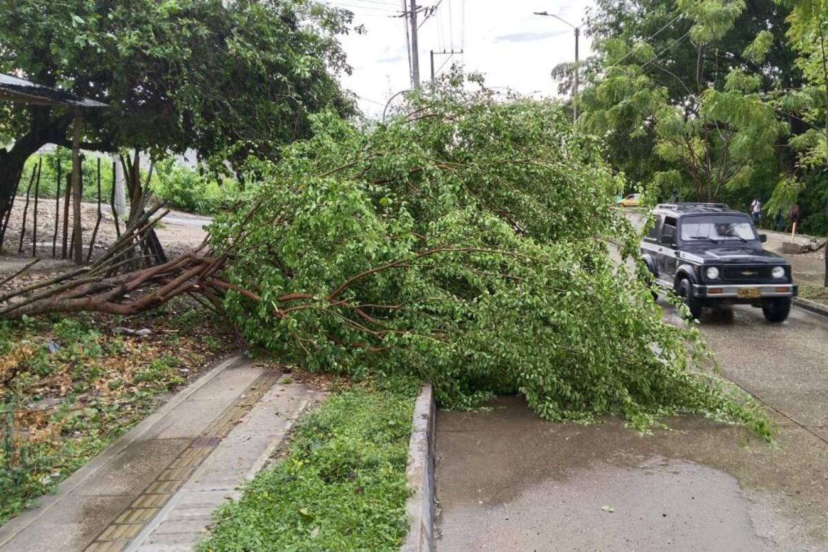 ¡A prevenir!: fortalecerán acciones para evitar afectaciones por lluvias