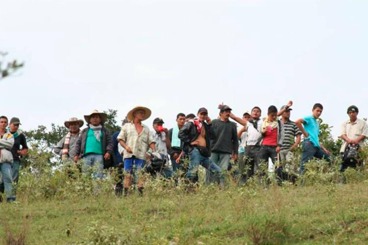 Reforma agraria: detalles del polémico decreto para movilizar al campesinado