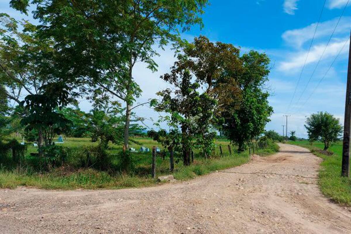 Francotirador ataca a policías: hay un uniformado grave