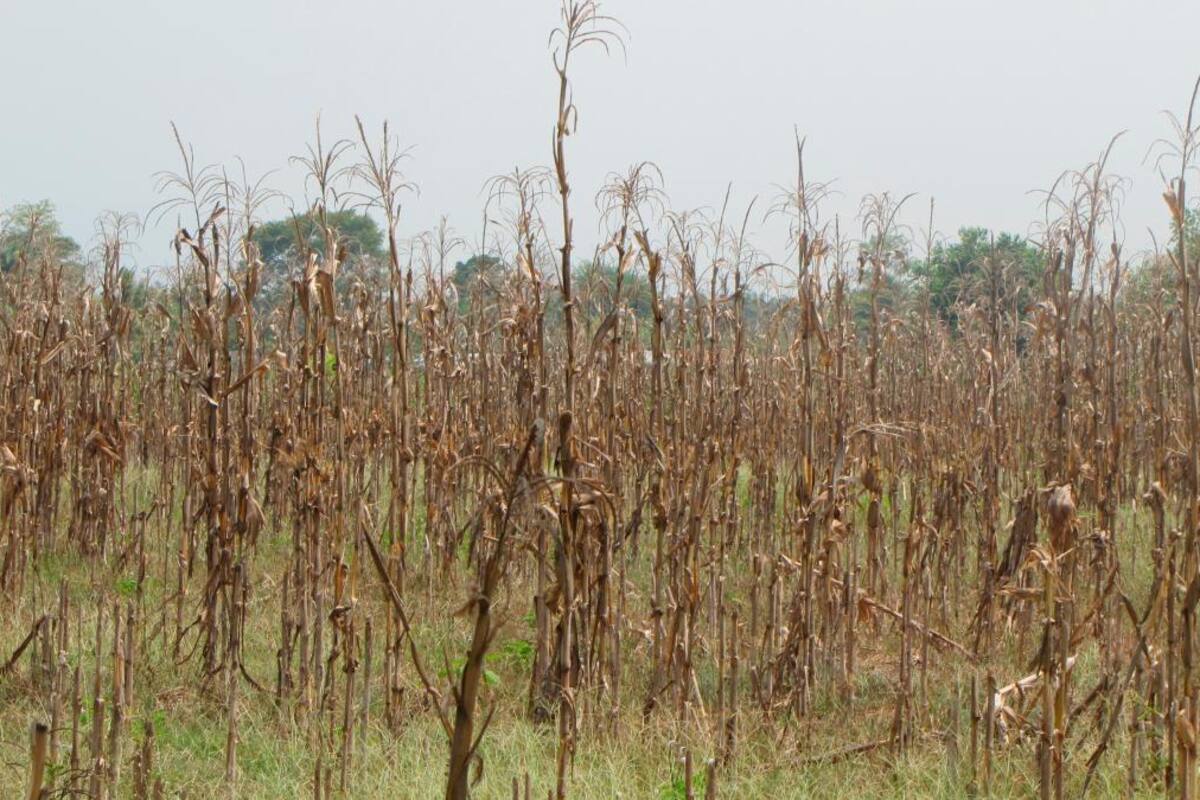 Al campo hay que sembrarle cultura del seguro