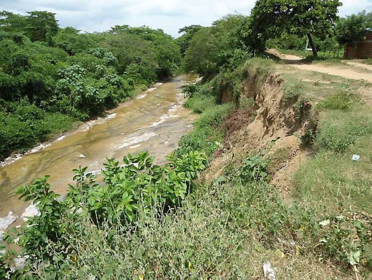 La erosión ha consumido 15 metros de la ribera del Arroyo Alférez a su paso por el barrio Juan Federico Hollman. LILA LEYVA VILLARREAL, CORRESPONSAL EL UNIVERSAL